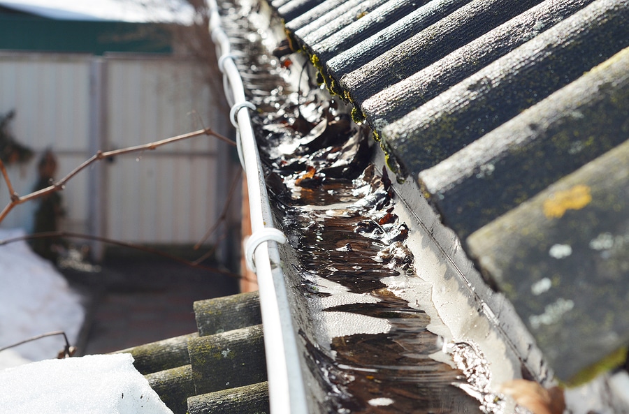 How Often Should Gutters Be Replaced?