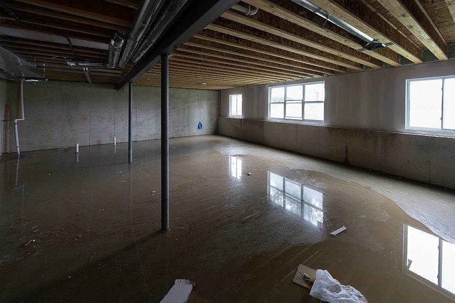 Why You Should Replace Your Carpets After a Basement Flood