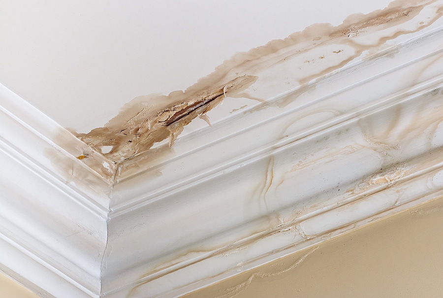 Why You Must Replace Drywall After a Leak
