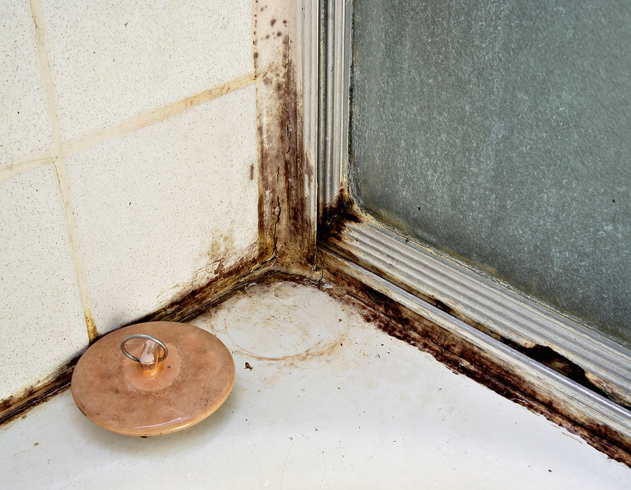 Bathroom Remodel Tips to Stop Mold