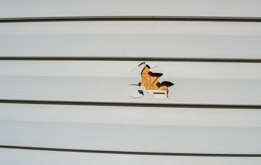 Siding damage